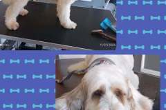 1_6