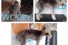 1_9