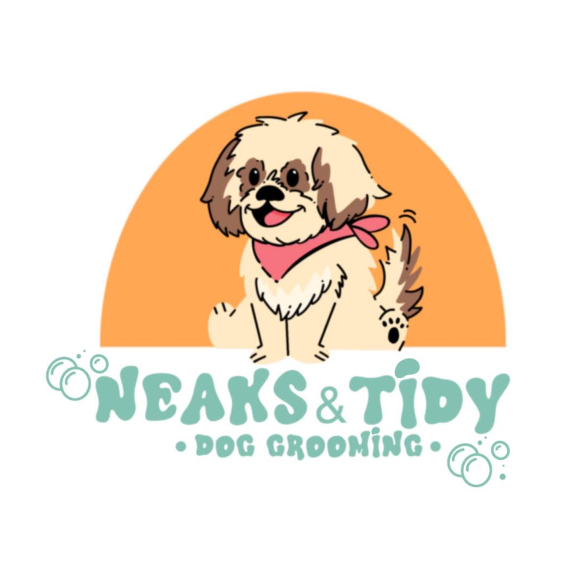 neaksandtidy-1.jpg