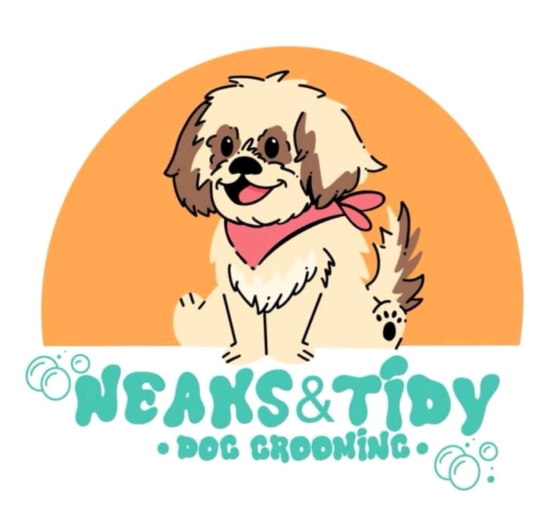 NEAKSANDTIDY.jpeg